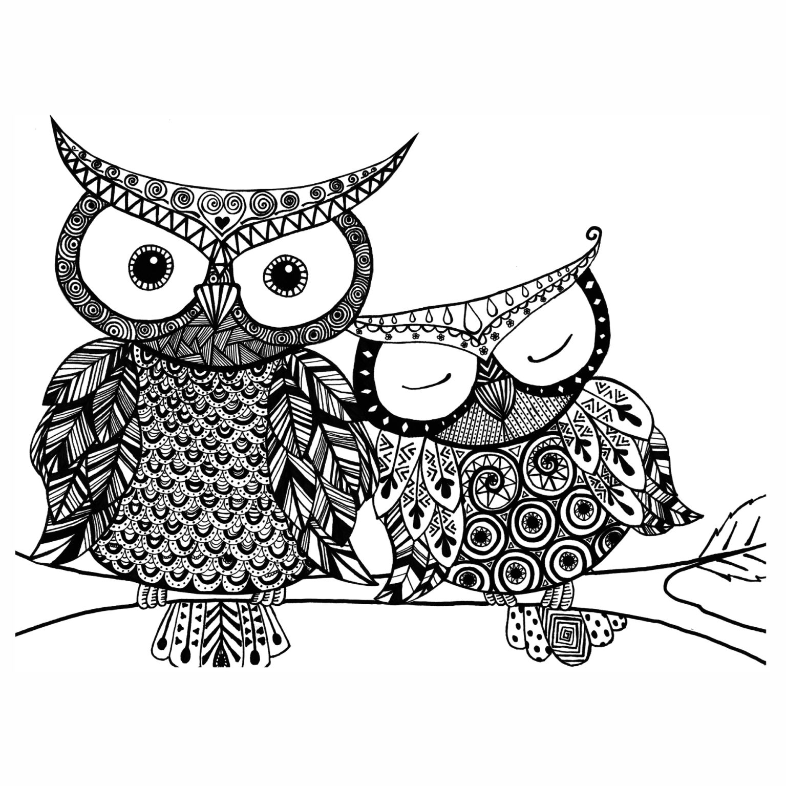 baby big eyed owl coloring pages - photo #21