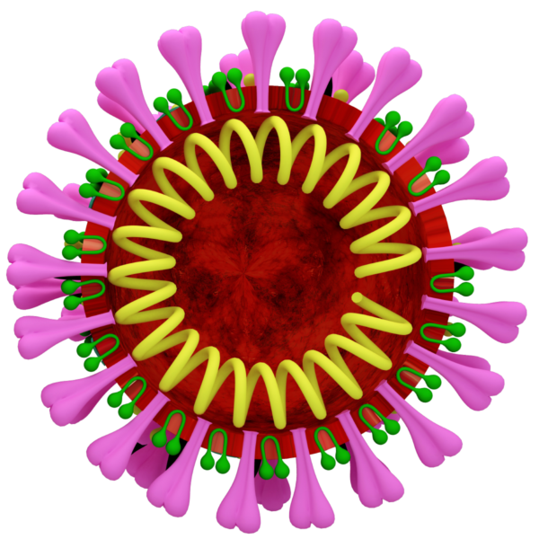 coronavirus-png-13