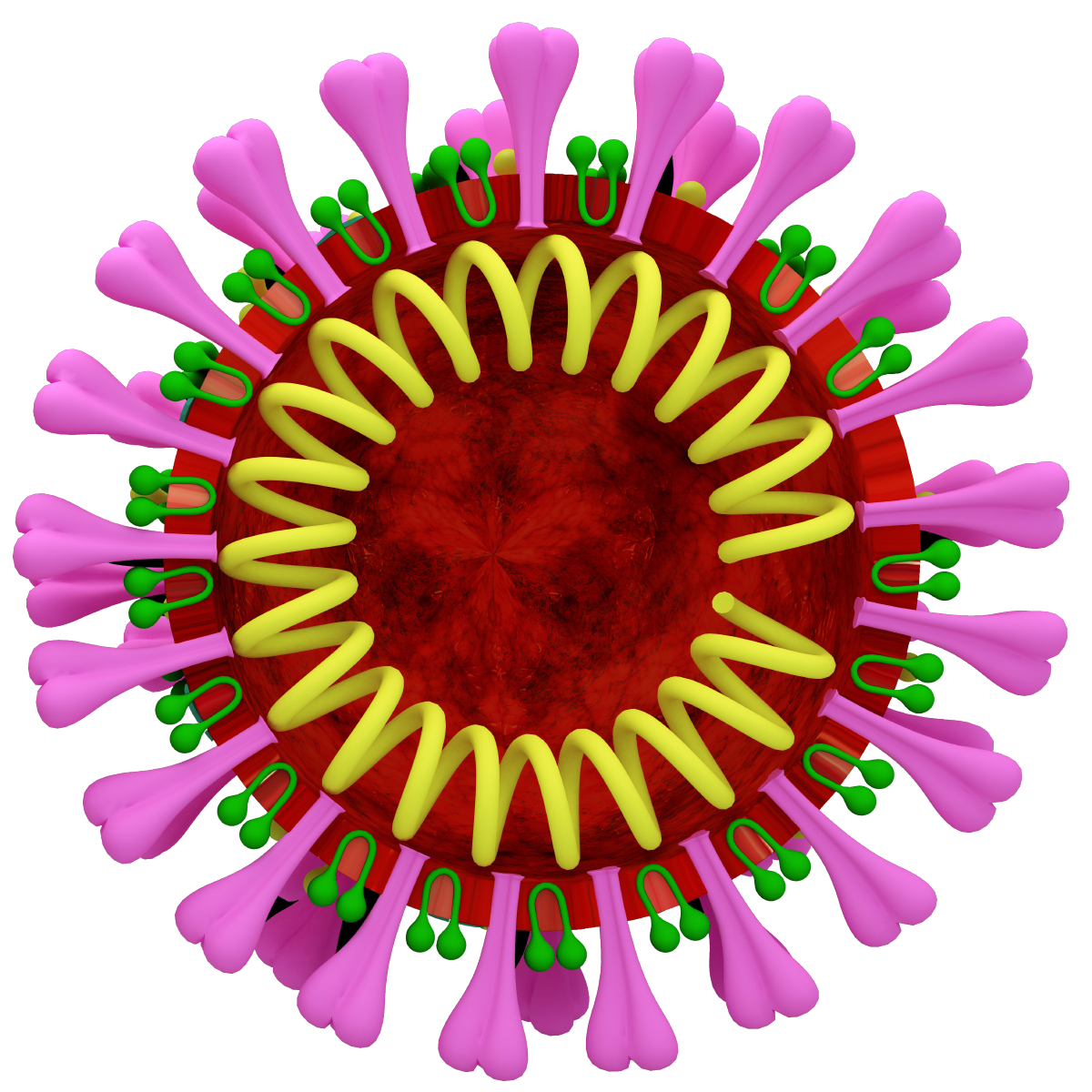 Coronavirus PNG 13