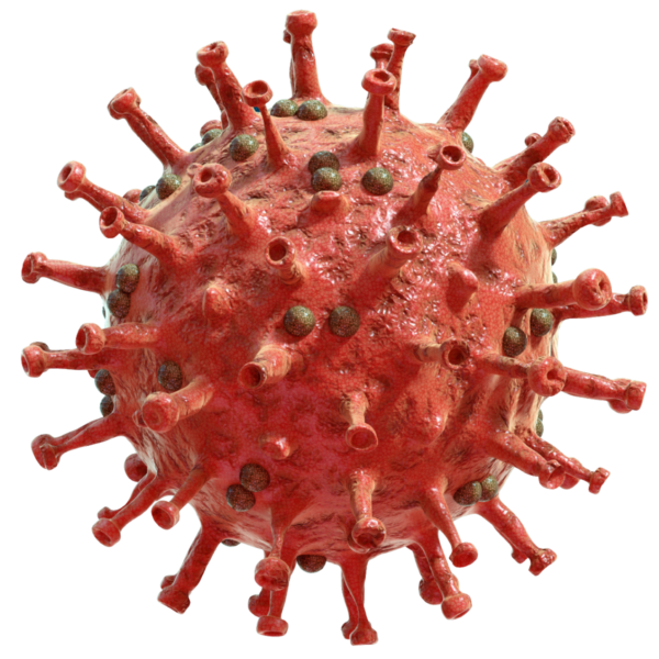 coronavirus-png-17