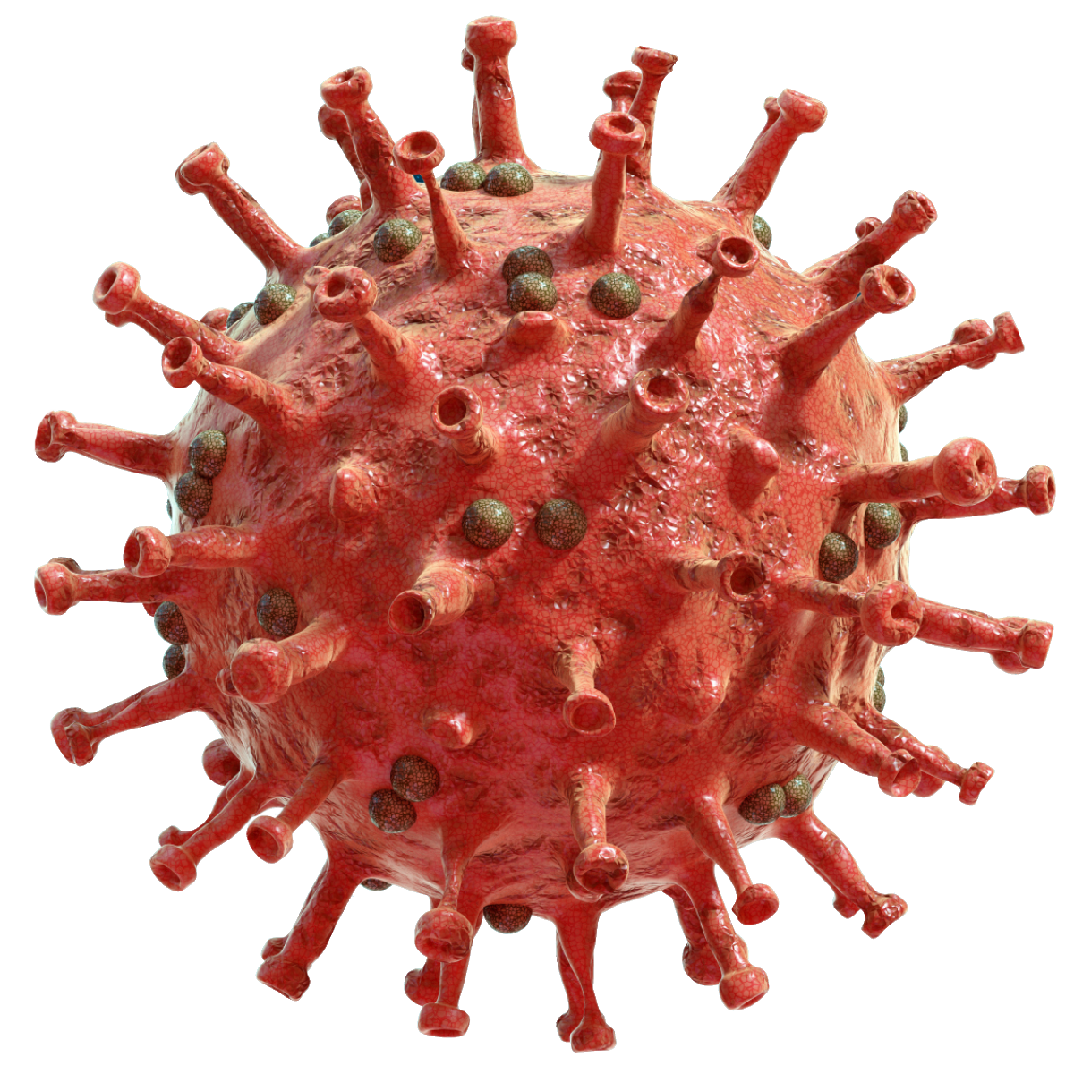 Coronavirus PNG 17