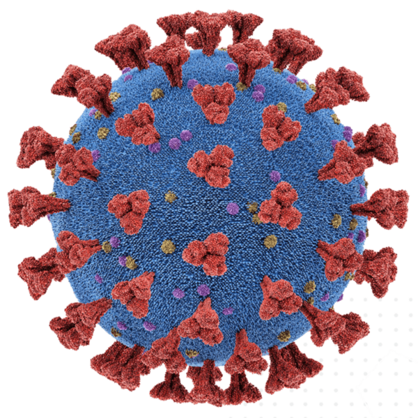 coronavirus-png-170