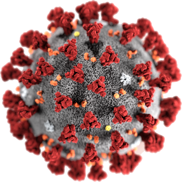coronavirus-png-174